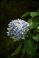 DSC_0795RAW.jpg