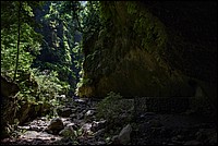 DSC_0805RAW2.jpg