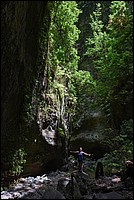 DSC_0819RAW.jpg