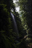 DSC_0853RAW.jpg