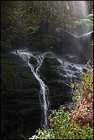 DSC_0873RAW.jpg