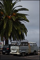 DSC_0919RAW.jpg