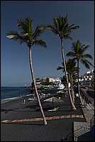 DSC_1221RAW.jpg