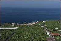 DSC_1225RAW.jpg