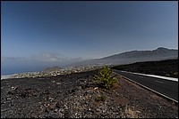 DSC_1239RAW.jpg