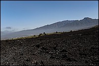 DSC_1246RAW.jpg