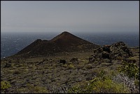 DSC_1267.JPG