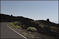 DSC_1274.JPG