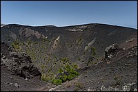 DSC_1411RAW.jpg