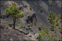 DSC_1438RAW.jpg