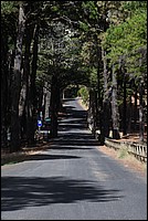 DSC_1471RAW.jpg