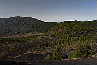 DSC_1486RAW.jpg