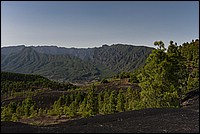 DSC_1500RAW.jpg