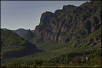 DSC_1505RAW.jpg