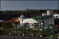 DSC_1519RAW.jpg