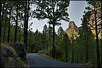 DSC_1974RAW.jpg