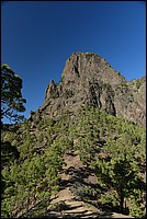DSC_1978RAW.jpg