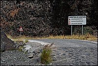 DSC_2023RAW.jpg