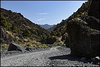 DSC_2026RAW.jpg