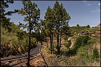 DSC_2170RAW2.jpg