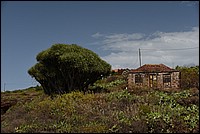 DSC_2211RAW.jpg