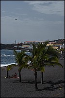 DSC_2290RAW.jpg