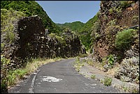 DSC_2295.JPG