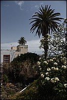 DSC_2304RAW.jpg