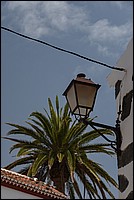 DSC_2311RAW.jpg