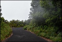 DSC_2403RAW.jpg