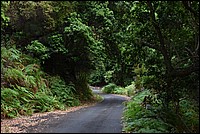 DSC_2410RAW.jpg