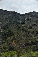 DSC_2439RAW.jpg