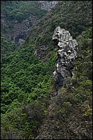 DSC_2440RAW.jpg