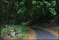 DSC_2444RAW.jpg