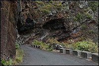 DSC_2445RAW.jpg