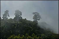 DSC_2451RAW.jpg