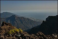 DSC_2500RAW.jpg