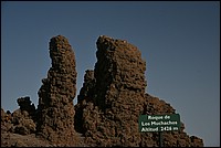 DSC_2510RAW.jpg