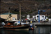 DSC_2549.JPG
