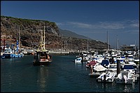 DSC_2552.JPG