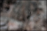 DSC_2614RAW.jpg