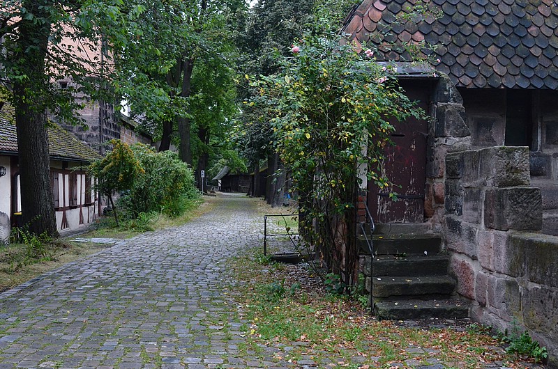 DSC_8116RAW.jpg