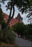 DSC_8235RAW.jpg