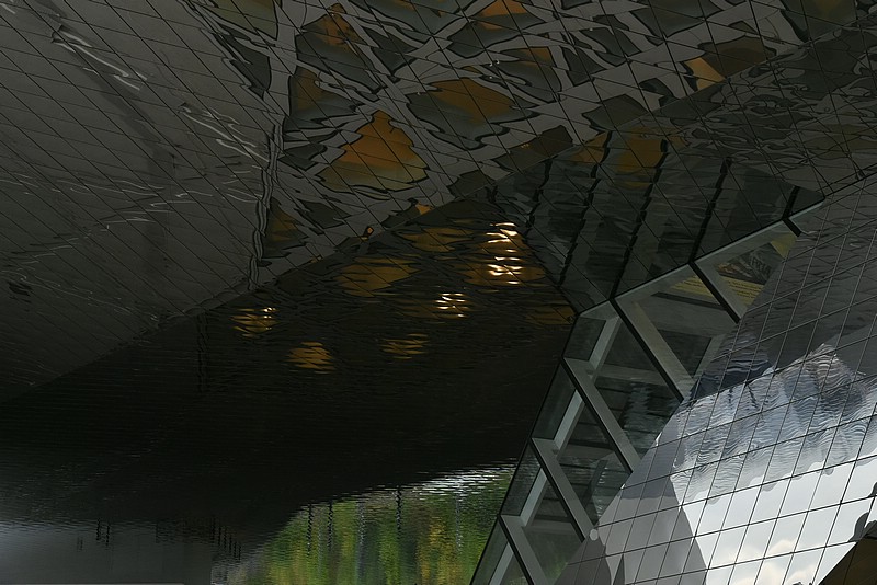 DSC_6154.JPG