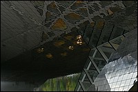 DSC_6154.JPG