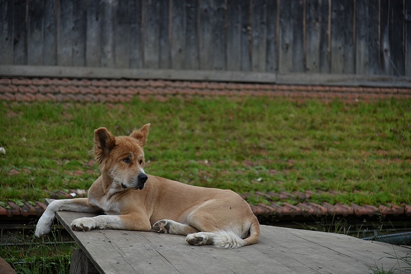 DSC_6412.JPG