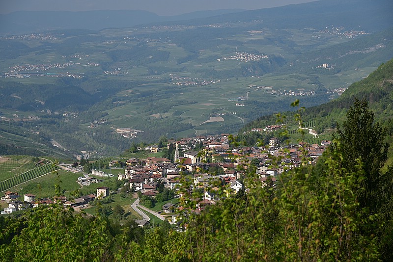 DSC_7961.JPG