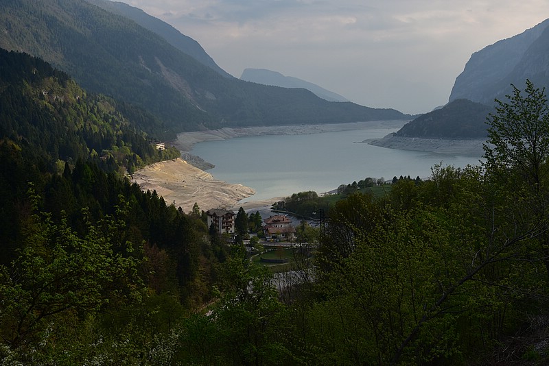 DSC_7981.JPG