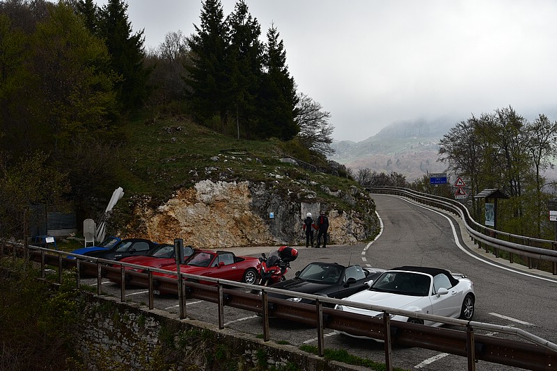 DSC_7993.JPG