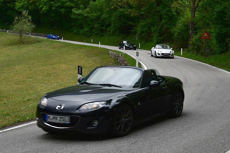 DSC_8038RAWC.jpg